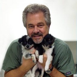 william Innes william Innes